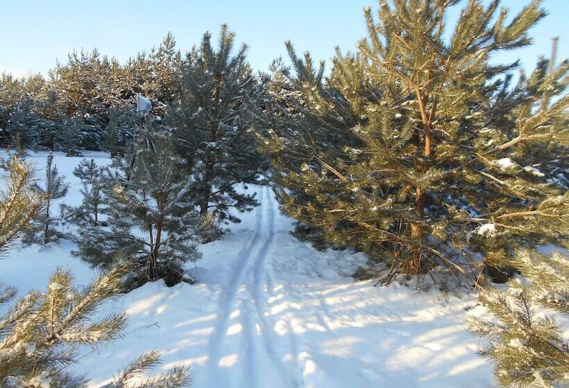 Park Hotel Diyevo Gorodishche