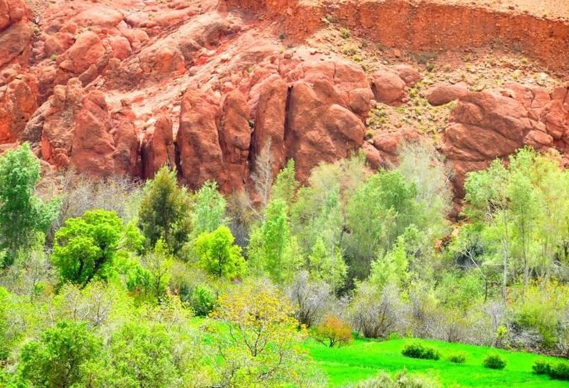 פנסיון Auberge Amazir