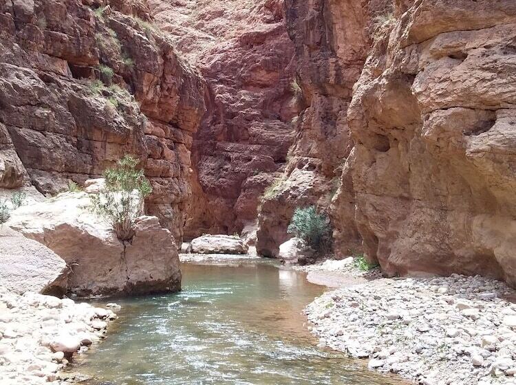 פנסיון Auberge Amazir