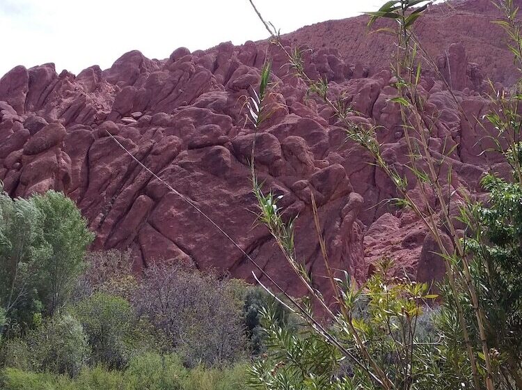 פנסיון Auberge Amazir