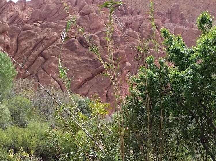 פנסיון Auberge Amazir