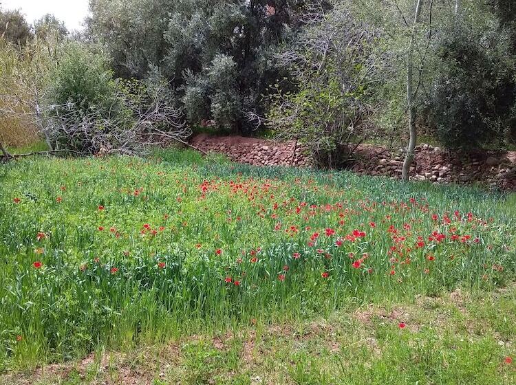 פנסיון Auberge Amazir