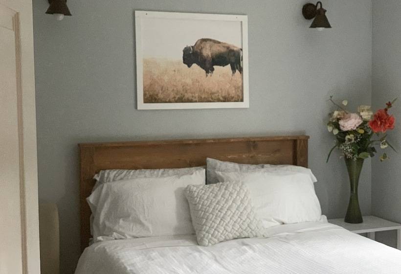 بنسيون Aurorian Nights Resort