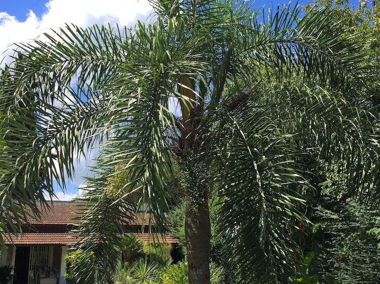 ペンション Casa De La Visitación