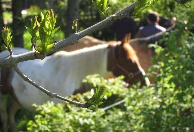 بنسيون Chambre D Hôtes La Fougeraie