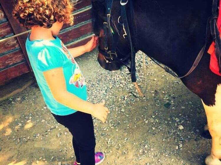 ペンション Chambres D Hôtes La Ferme De Montard