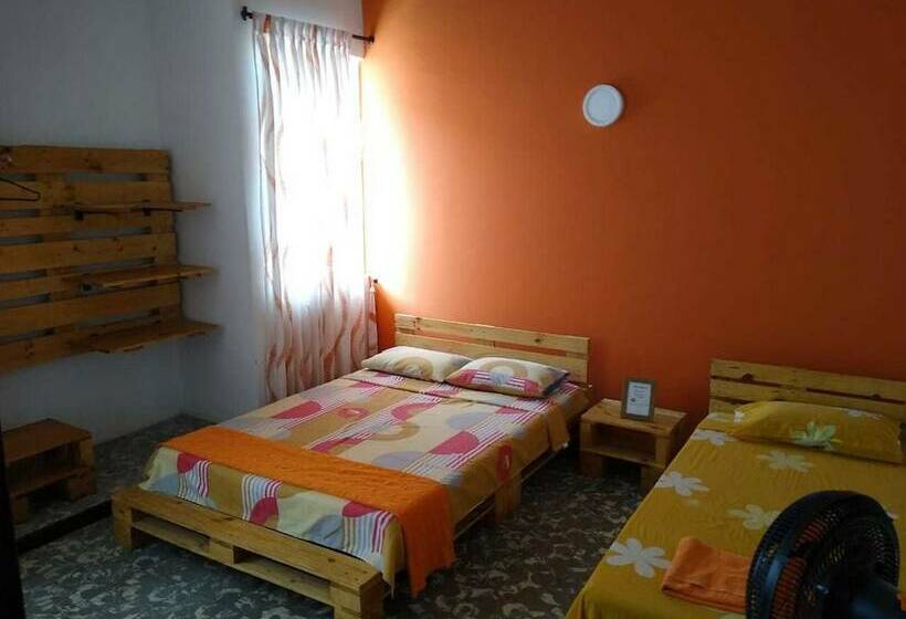 פנסיון Colour House La Flora