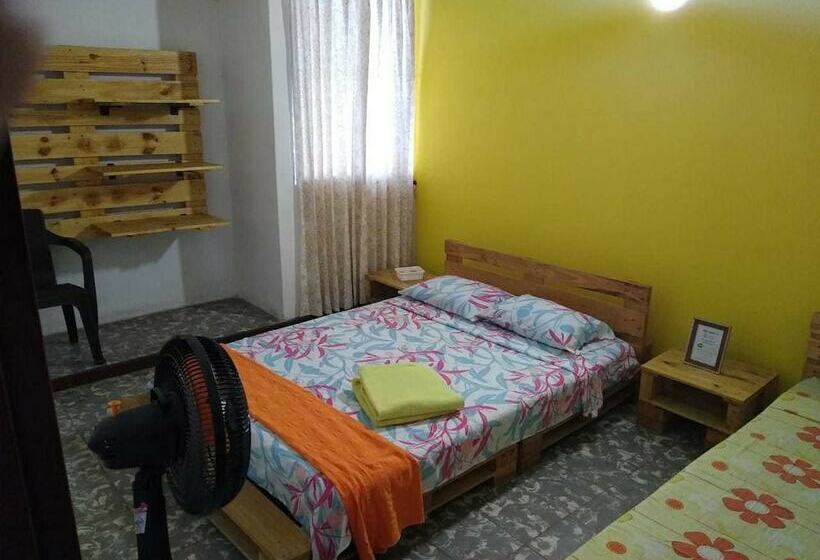 פנסיון Colour House La Flora