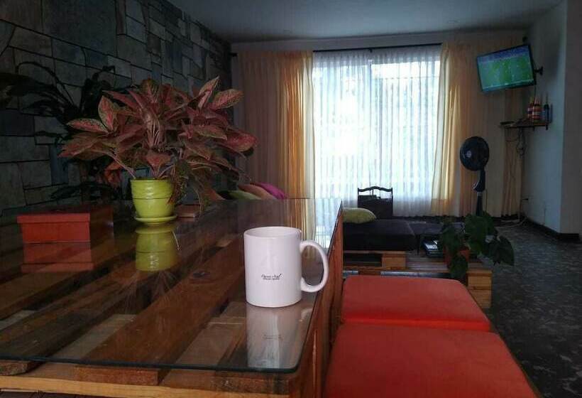 פנסיון Colour House La Flora