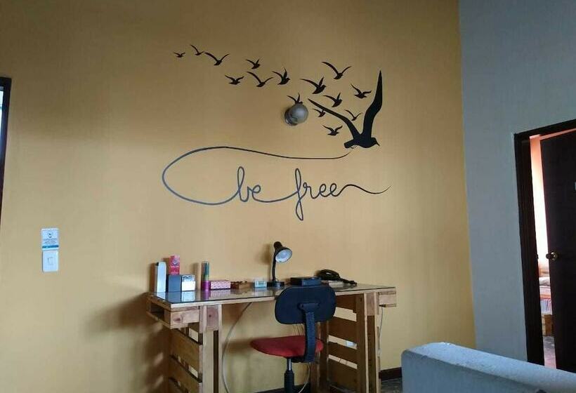 פנסיון Colour House La Flora