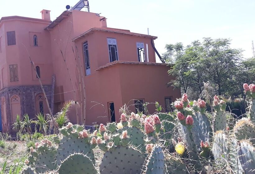 پانسیون Ecolodge Tamount