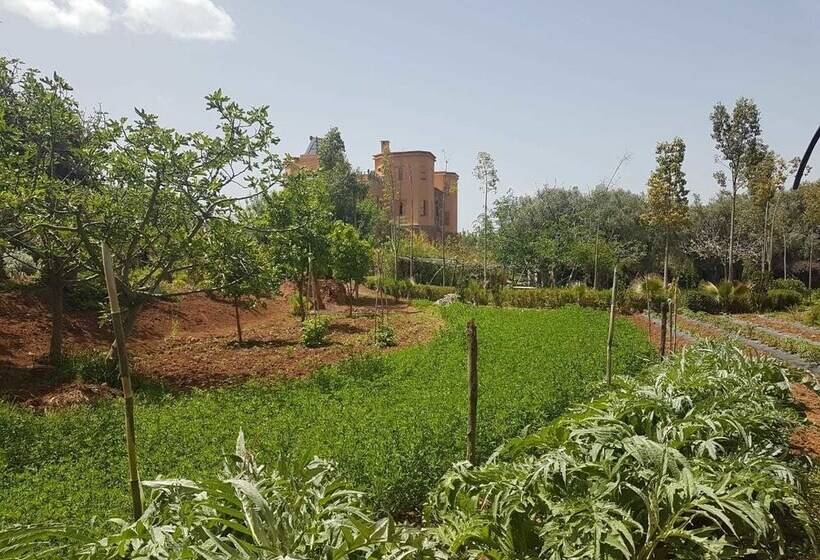 پانسیون Ecolodge Tamount