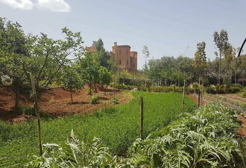 پانسیون Ecolodge Tamount