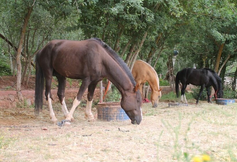پانسیون Ecolodge Tamount