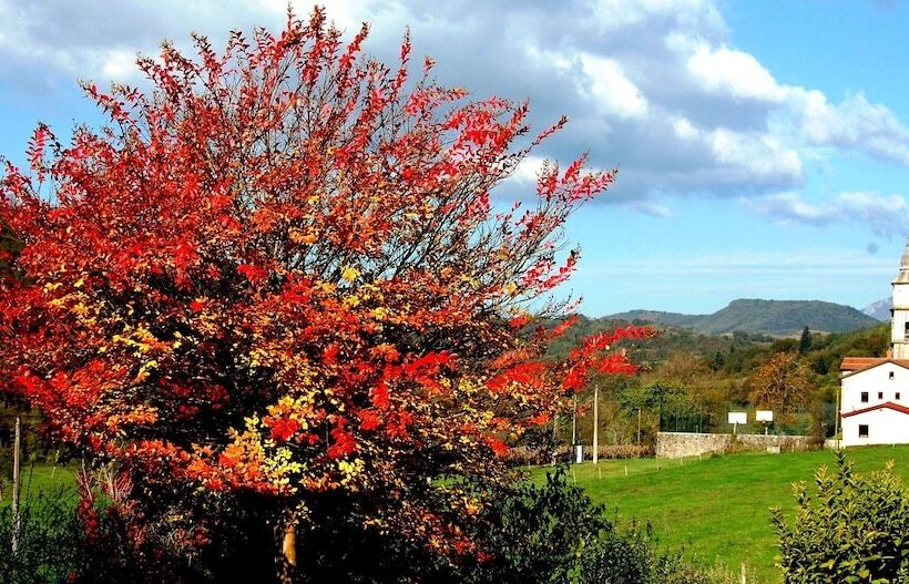 پانسیون Hiša Posebne Sorte