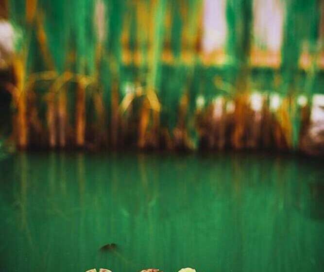 پانسیون Hiša Posebne Sorte