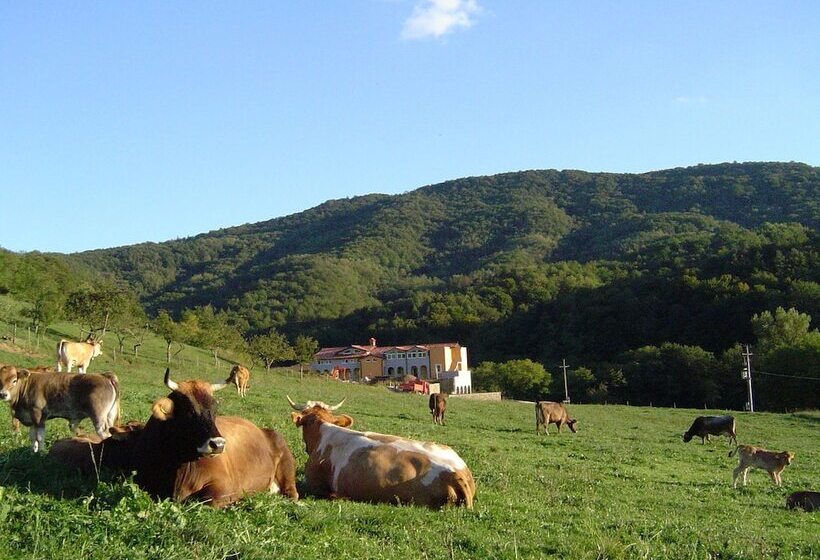 پانسیون Hiša Posebne Sorte