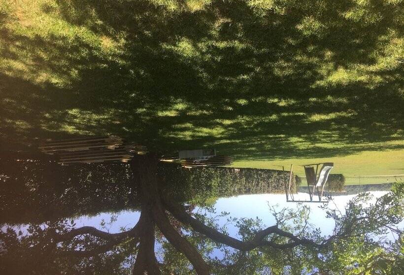 بنسيون Les Templiers