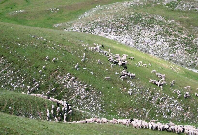 펜션 Napoleon Zaglis Guesthouse