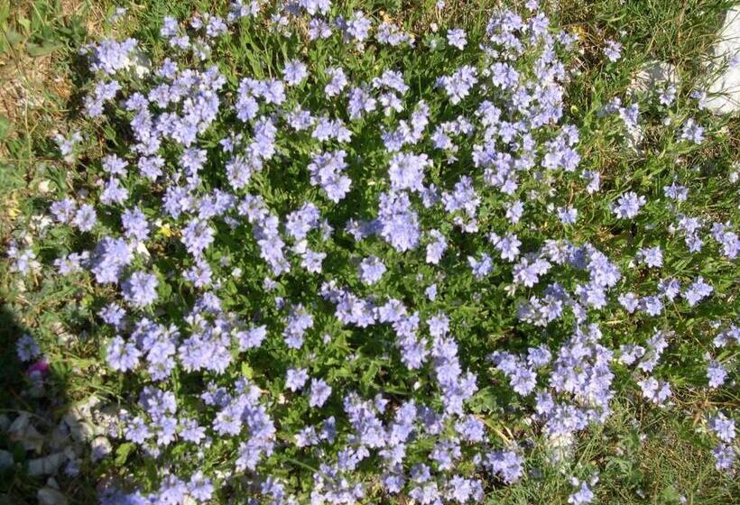 펜션 Napoleon Zaglis Guesthouse