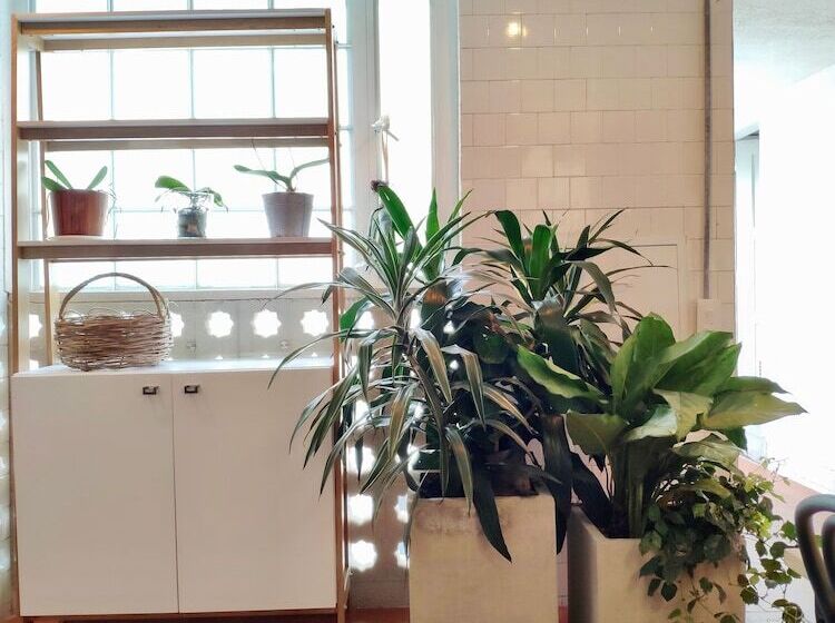 ペンション The Milagro Guest House