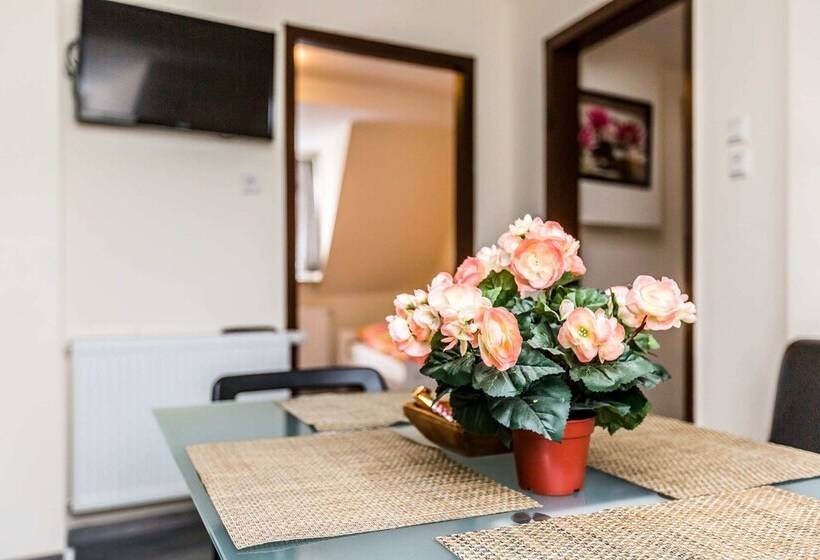 بنسيون Tripcologne Apartments Since 2013