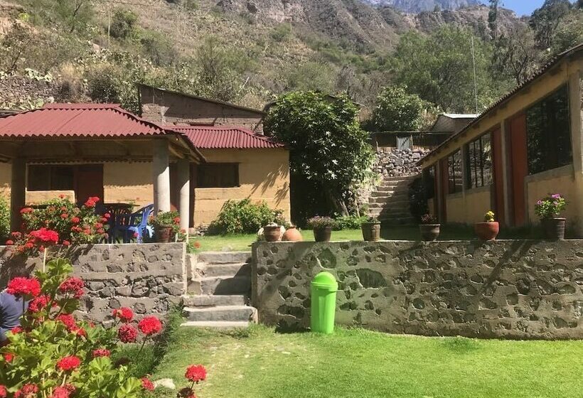 Posada Gloria   Hostel