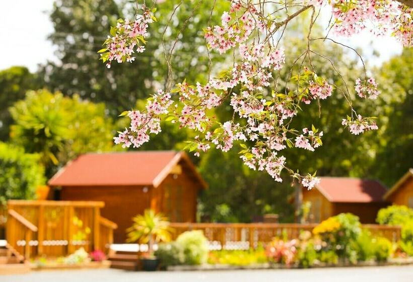 אתר נופש Orere Point Top 10 Holiday Park