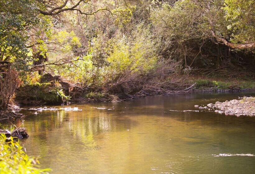 منتجع Orere Point Top 10 Holiday Park