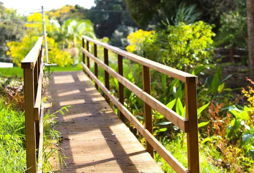 אתר נופש Orere Point Top 10 Holiday Park