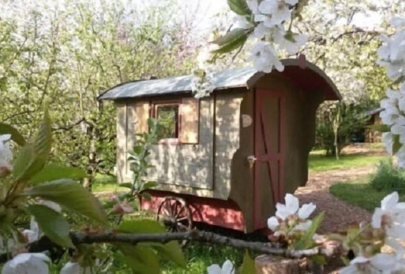 Schaeferwagenhotel Campsite