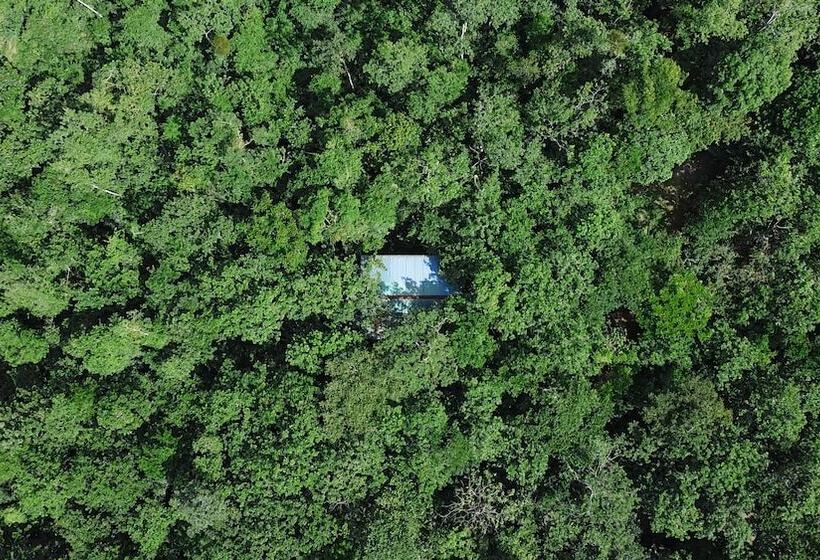 Tree Houses Hotel Costa Rica