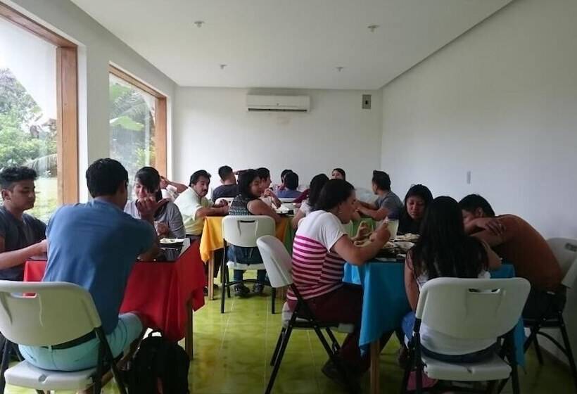 فندق صغير Hosteria Piedra De Vapor