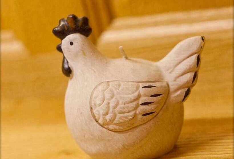 צימר Chambres D Hôtes Le P Tit Bonheur