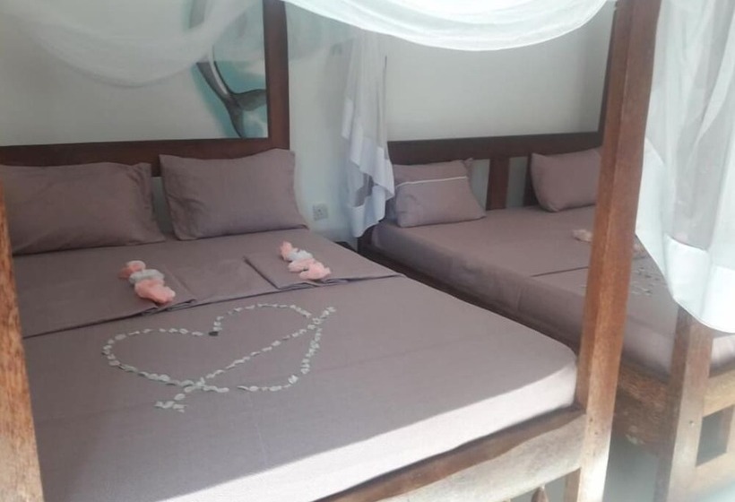 Bed and Breakfast Ebony & Ivory Bungalows