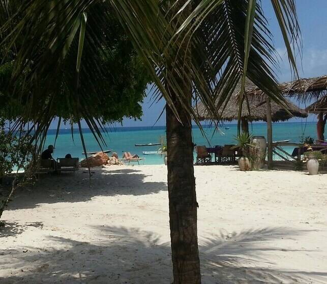 Bed and Breakfast Ebony & Ivory Bungalows