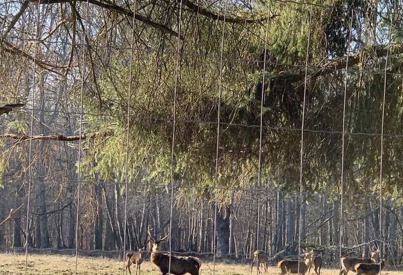 צימר Ecolodge Beauregard