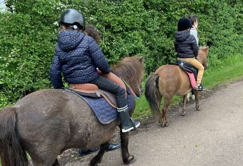 צימר Ecolodge Beauregard