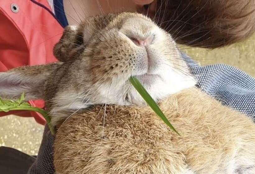 צימר Ecolodge Beauregard