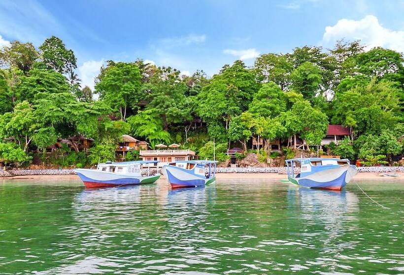 Bed and Breakfast Froggies Divers Bunaken