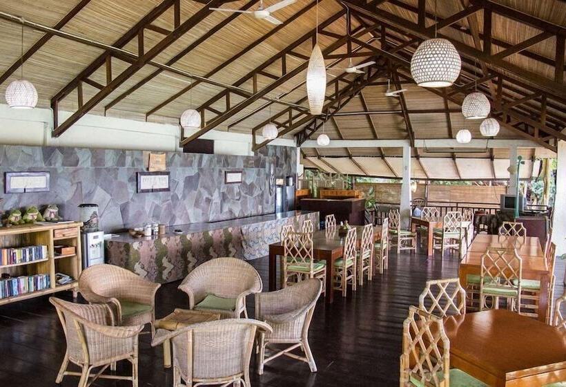 Bed and Breakfast Froggies Divers Bunaken