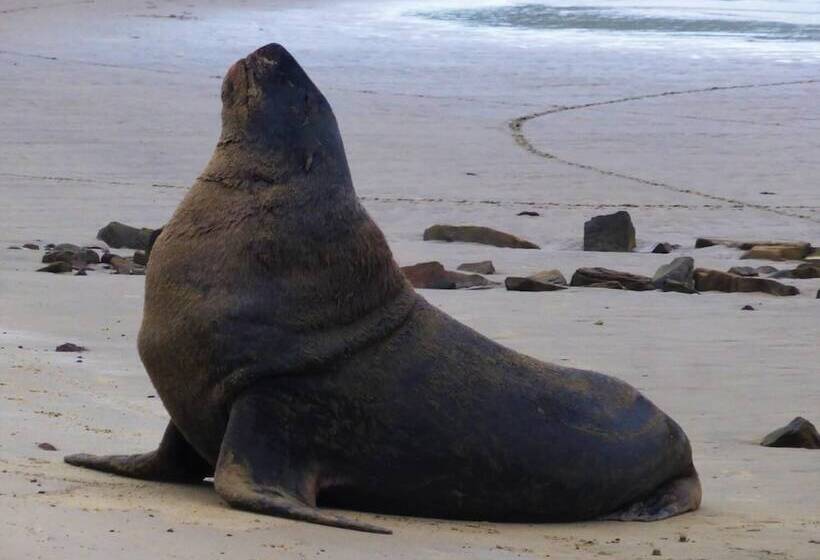 민박 Kepplestone By The Sea