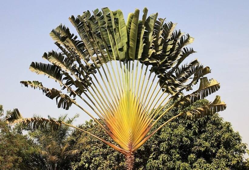 צימר Yuna Village Garden Resort