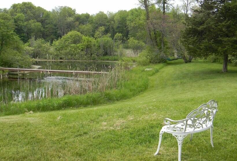 Bmi Bed & Breakfast And Oasis