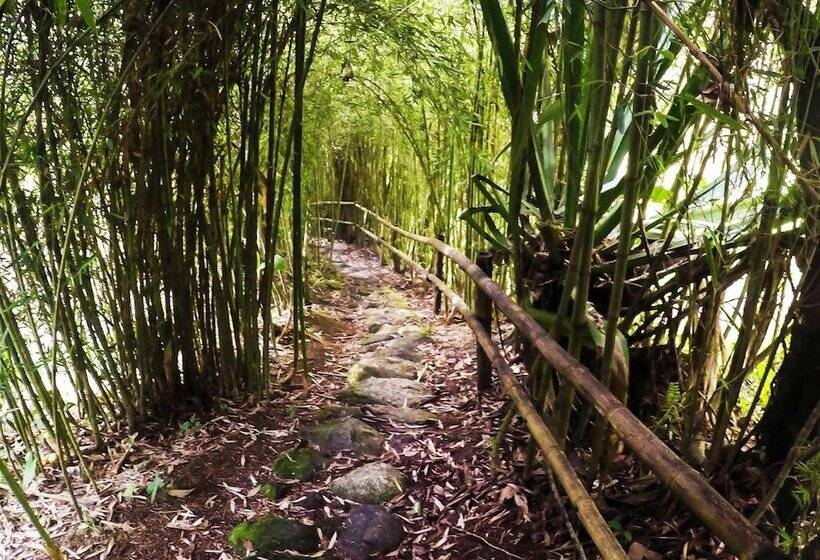 Eco Hotel Tierra De Agua