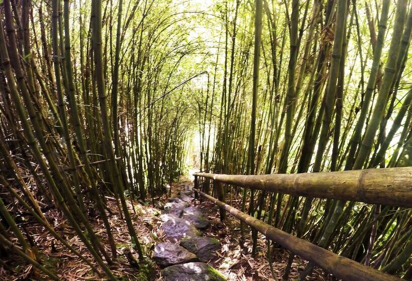 Eco Hotel Tierra De Agua