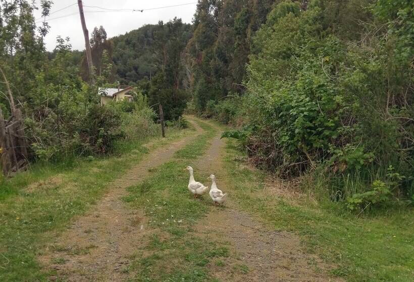 Ecoturismo Los Manzanos