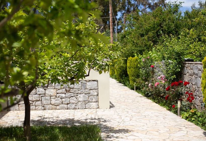 Отель Aphrodite