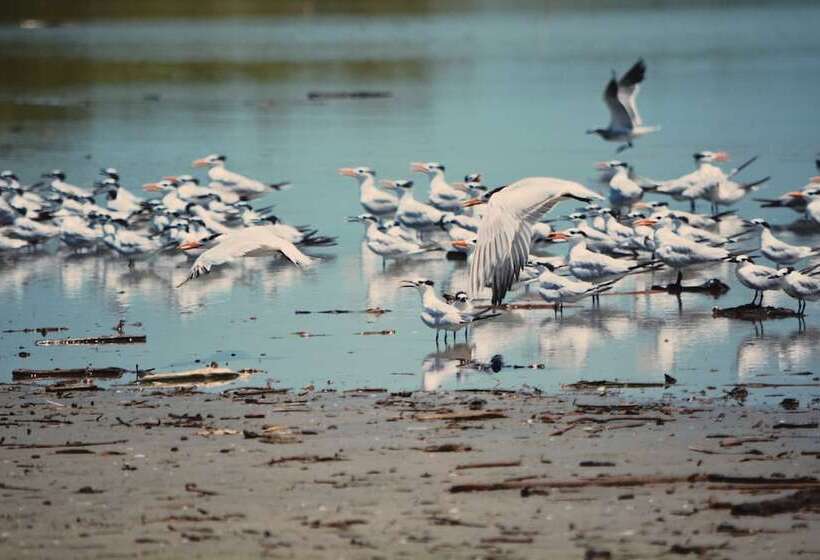 酒店 Awatawaa Ecolodge