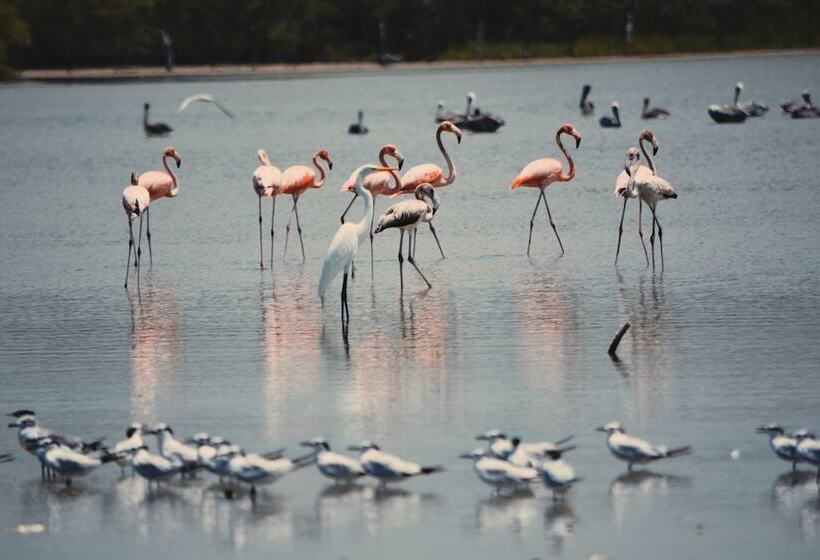 酒店 Awatawaa Ecolodge